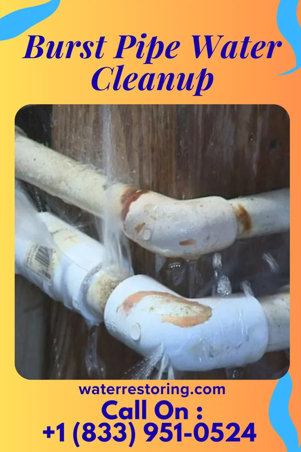 Burst Pipe Water Cleanup in Mansfield Center, MA