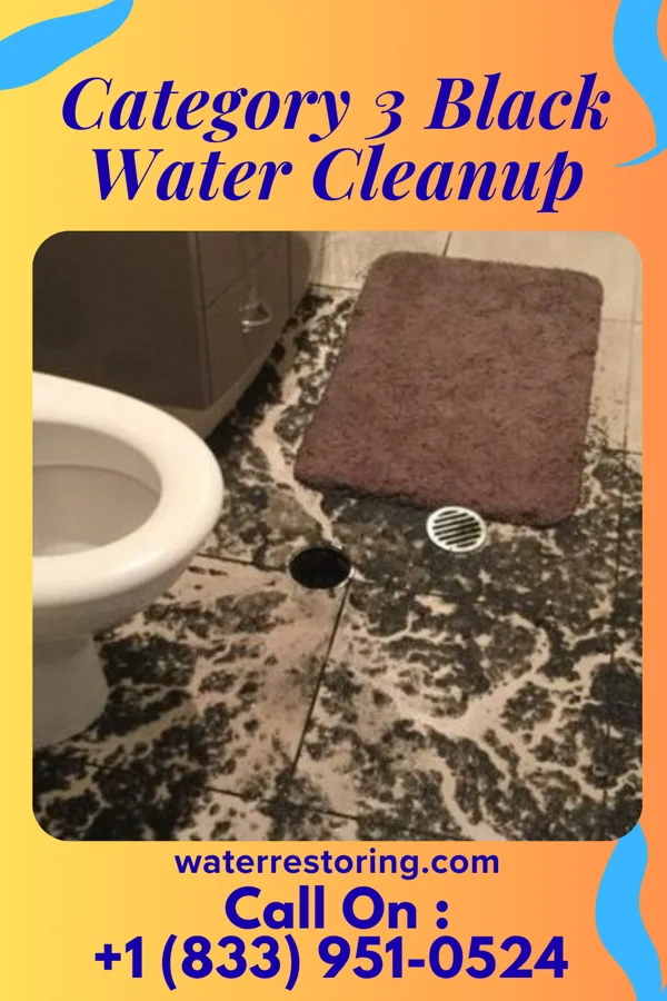 Category 3 Black Water Cleanup in Mansfield Center, MA