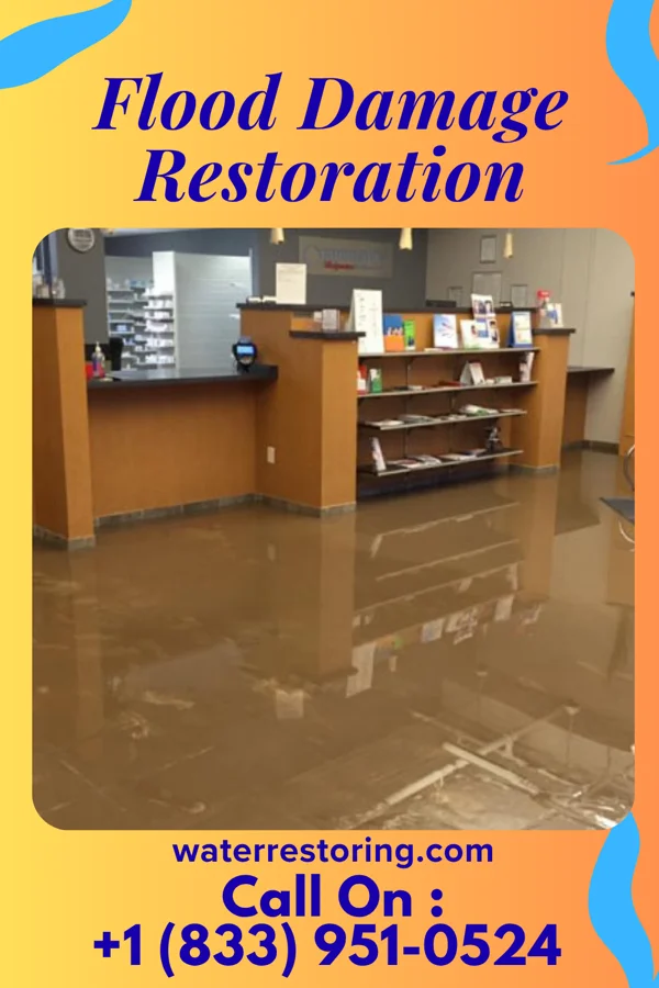 Flood Damage Restoration in Mansfield Center, MA