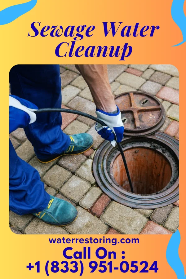 Sewage Water Cleanup in Mansfield Center, MA