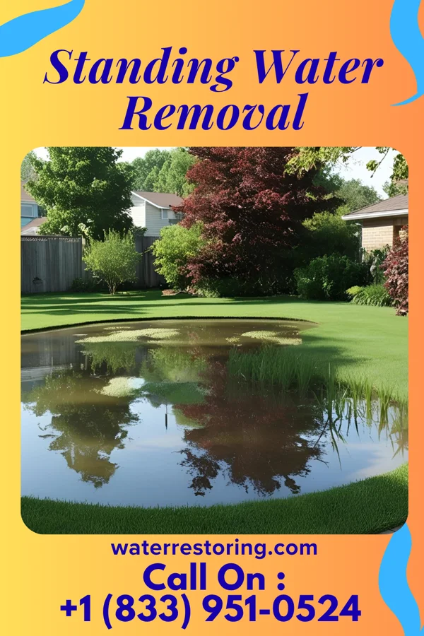 Standing Water Removal in Mansfield Center, MA